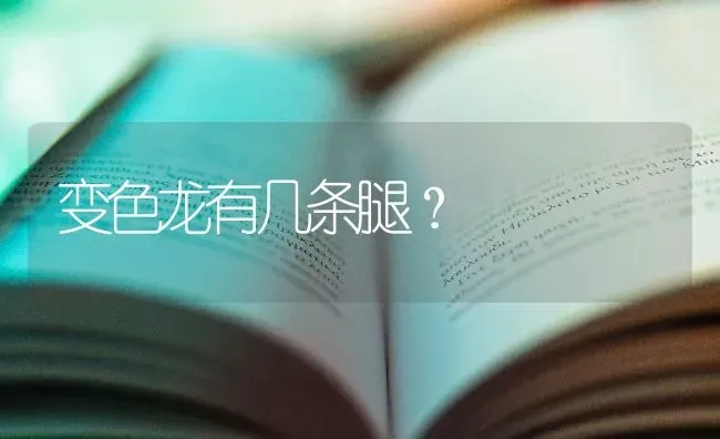 橙黄色条纹猫是什么品种？ | 动物养殖问答