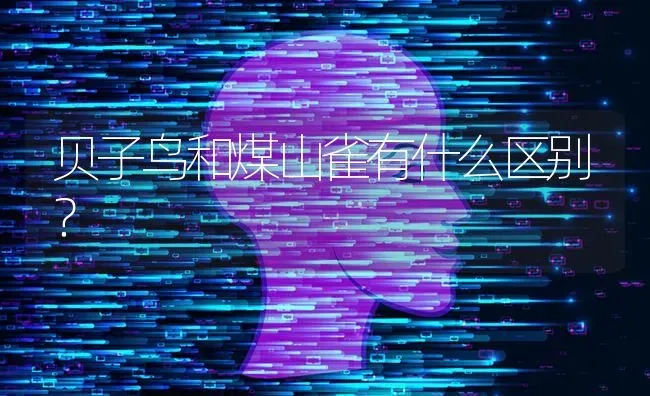 贝子鸟和煤山雀有什么区别？ | 动物养殖问答