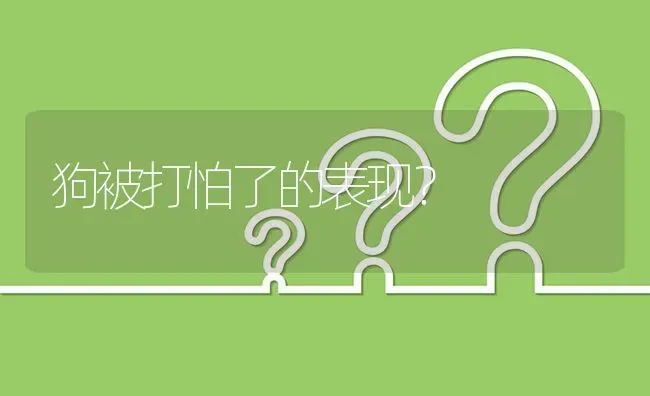 狗被打怕了的表现？ | 动物养殖问答