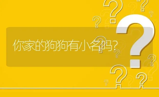 你家的狗狗有小名吗？ | 动物养殖问答