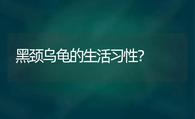 黑颈乌龟的生活习性？ | 动物养殖问答