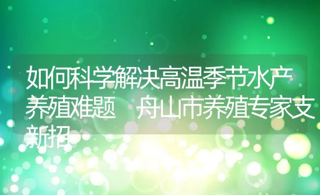 如何科学解决高温季节水产养殖难题 舟山市养殖专家支新招 | 动物养殖饲料