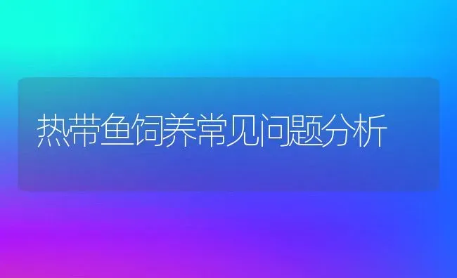 热带鱼饲养常见问题分析 | 动物养殖教程