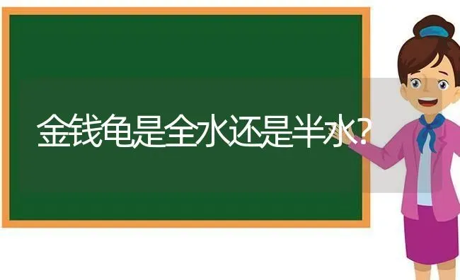 金钱龟是全水还是半水？ | 动物养殖问答