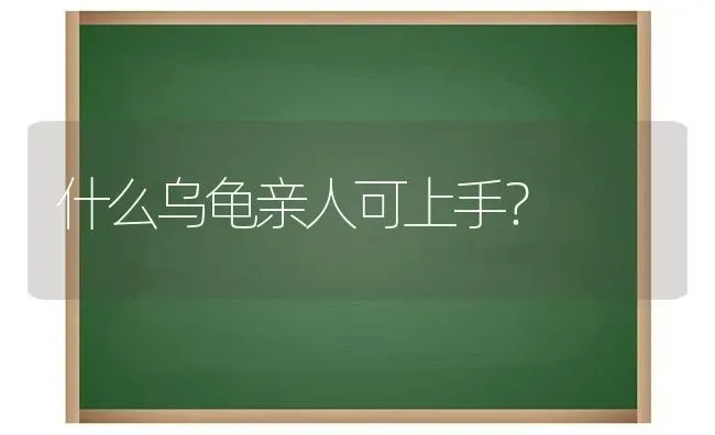 什么乌龟亲人可上手？ | 动物养殖问答