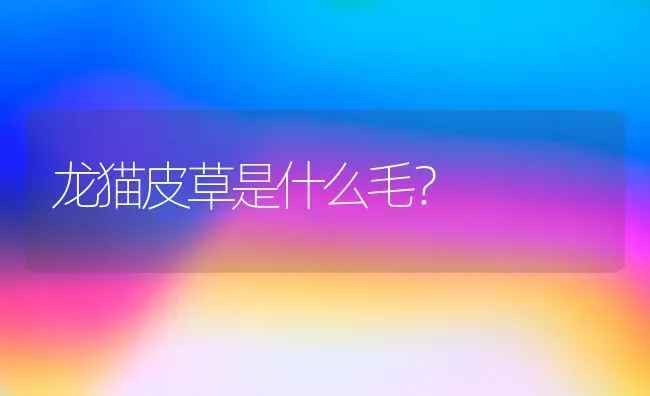 龙猫皮草是什么毛？ | 动物养殖问答