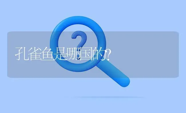 孔雀鱼是哪国的？ | 鱼类宠物饲养