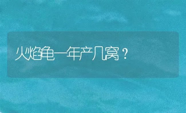 怎么样驯养40多天的拉布拉多幼犬？ | 动物养殖问答