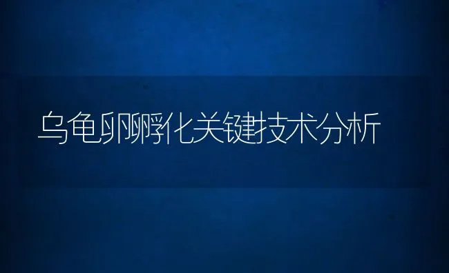 乌龟卵孵化关键技术分析 | 水产养殖知识