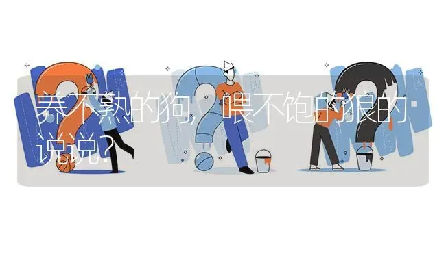 养不熟的狗,喂不饱的狼的说说？ | 动物养殖问答