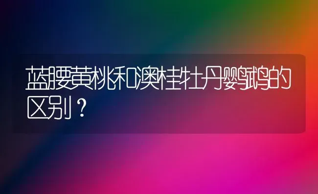 蓝腰黄桃和澳桂牡丹鹦鹉的区别？ | 动物养殖问答