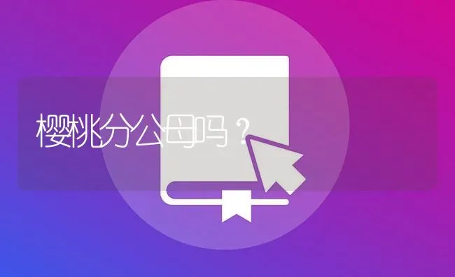 樱桃分公母吗？ | 鱼类宠物饲养