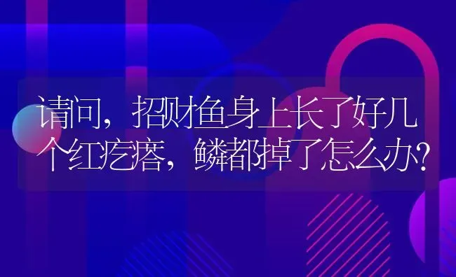 请问，招财鱼身上长了好几个红疙瘩，鳞都掉了怎么办？ | 鱼类宠物饲养