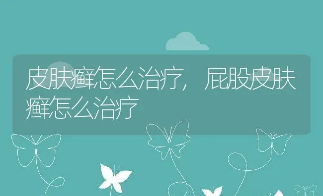 皮肤癣怎么治疗,屁股皮肤癣怎么治疗 | 宠物百科知识