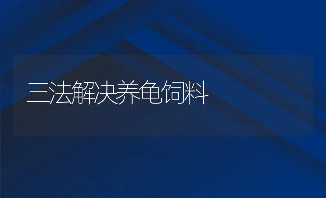 三法解决养龟饲料 | 动物养殖饲料