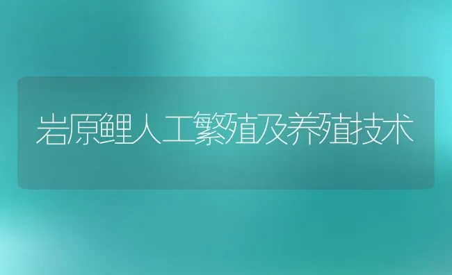 岩原鲤人工繁殖及养殖技术 | 动物养殖饲料