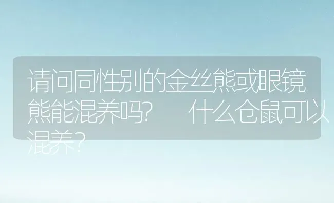 请问同性别的金丝熊或眼镜熊能混养吗? 什么仓鼠可以混养？ | 动物养殖问答