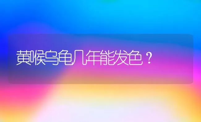 黄喉乌龟几年能发色？ | 动物养殖问答