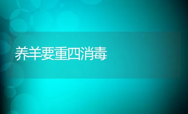 养羊要重四消毒 | 动物养殖学堂