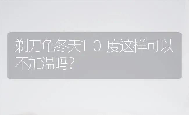 剃刀龟冬天10度这样可以不加温吗？ | 动物养殖问答