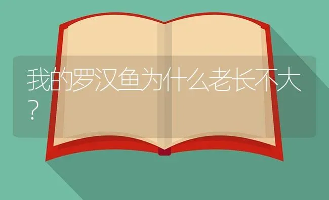 我的罗汉鱼为什么老长不大？ | 鱼类宠物饲养