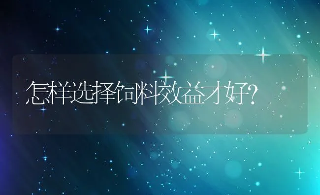 井水工厂化养虾技术 | 动物养殖饲料