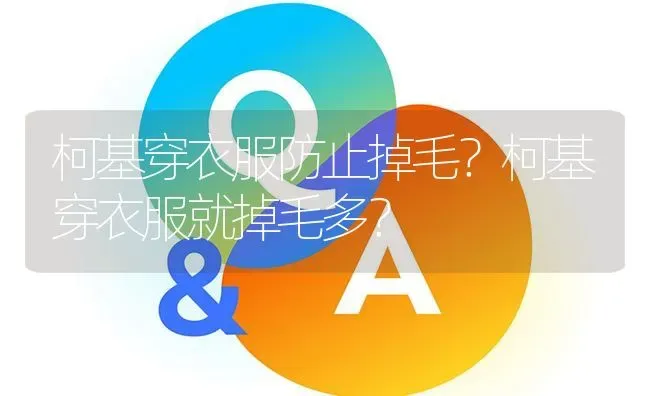 柯基穿衣服防止掉毛？柯基穿衣服就掉毛多？ | 动物养殖问答