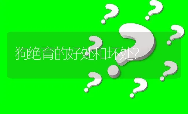 狗绝育的好处和坏处？ | 动物养殖问答