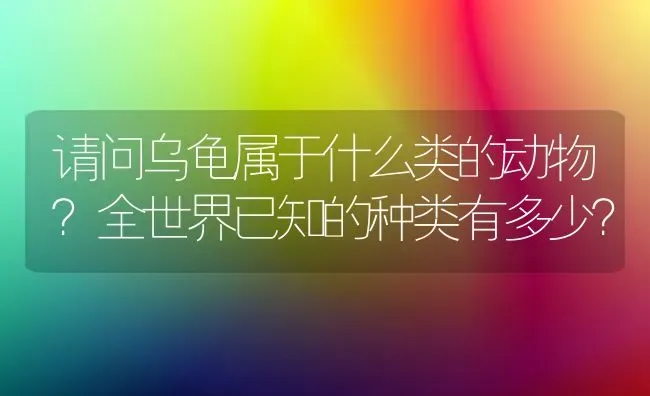 请问乌龟属于什么类的动物？全世界已知的种类有多少？ | 动物养殖问答