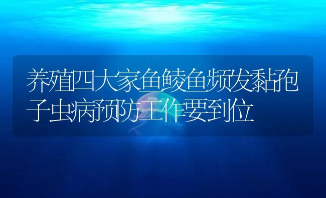 养殖四大家鱼鲮鱼频发黏孢子虫病预防工作要到位 | 海水养殖技术