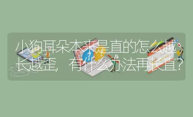 小狗耳朵本来是直的怎么越长越歪,有什么办法再长直？ | 动物养殖问答