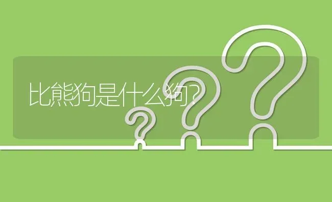 比熊狗是什么狗？ | 动物养殖问答