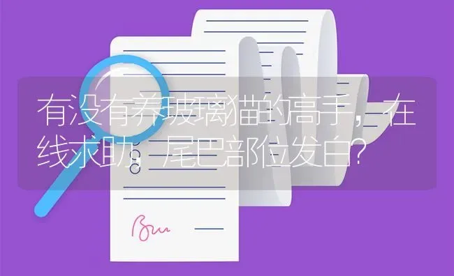 有没有养玻璃猫的高手，在线求助，尾巴部位发白？ | 鱼类宠物饲养