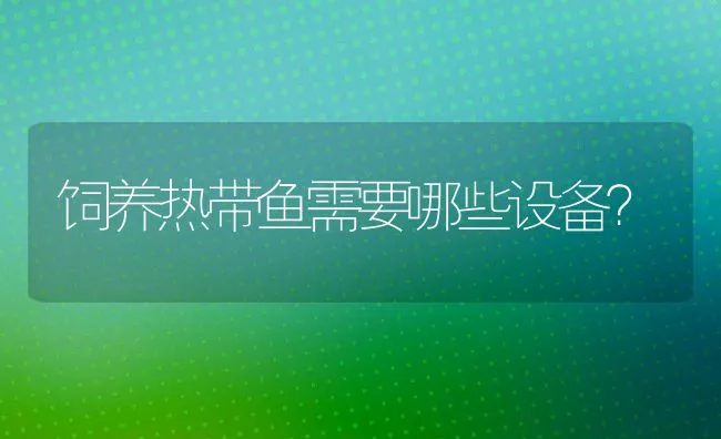 饲养热带鱼需要哪些设备？ | 动物养殖饲料