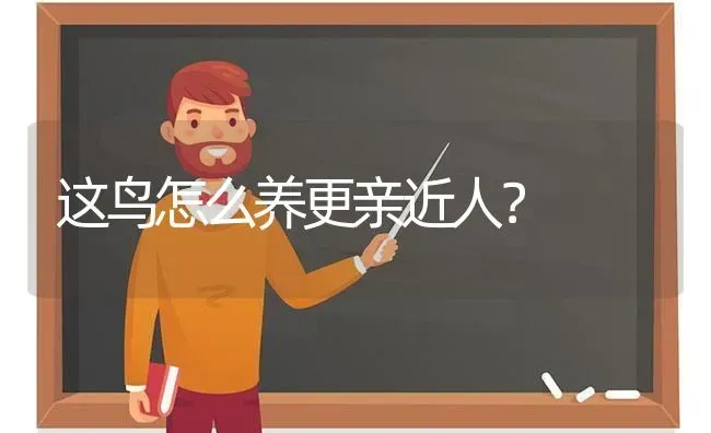 这鸟怎么养更亲近人？ | 动物养殖问答