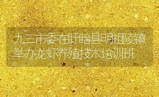 九三市委在盱眙县明祖陵镇举办龙虾养殖技术培训班 | 动物养殖饲料