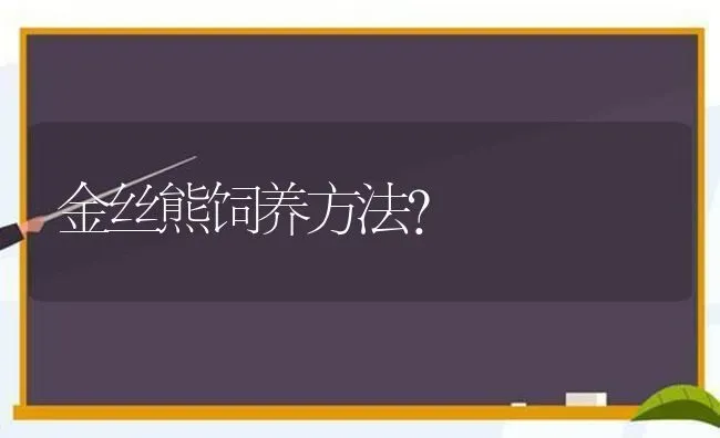 公白猫猫和母蓝猫会生下什么颜色猫？ | 动物养殖问答