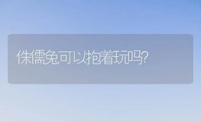 侏儒兔可以抱着玩吗？ | 动物养殖问答