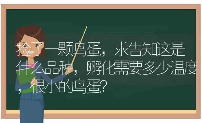 捡了一颗鸟蛋，求告知这是什么品种，孵化需要多少温度，很小的鸟蛋？ | 动物养殖问答