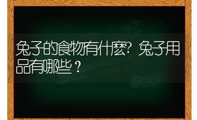 兔子的食物有什麽?兔子用品有哪些？ | 动物养殖问答