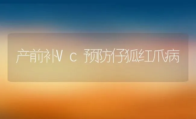 产前补Vc预防仔狐红爪病 | 动物养殖学堂