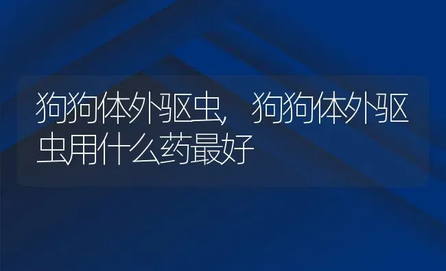 狗狗体外驱虫,狗狗体外驱虫用什么药最好 | 宠物百科知识