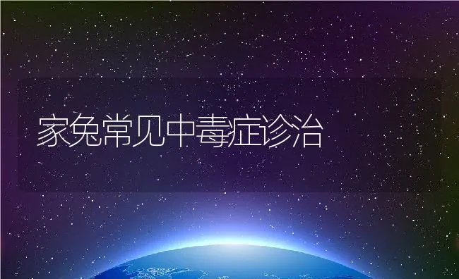 家兔常见中毒症诊治 | 水产养殖知识
