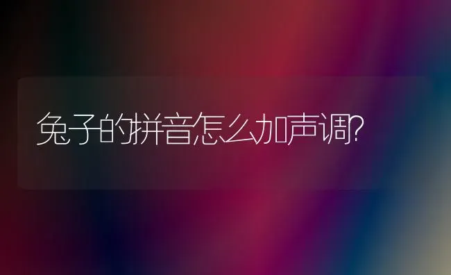 兔子的拼音怎么加声调？ | 动物养殖问答