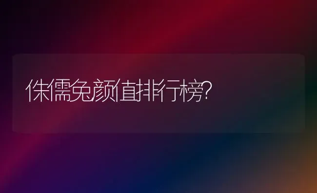 侏儒兔颜值排行榜？ | 动物养殖问答