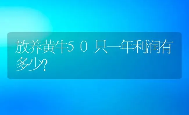 放养黄牛50只一年利润有多少？ | 动物养殖百科