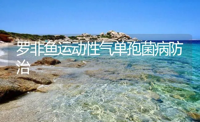 罗非鱼运动性气单孢菌病防治 | 海水养殖技术