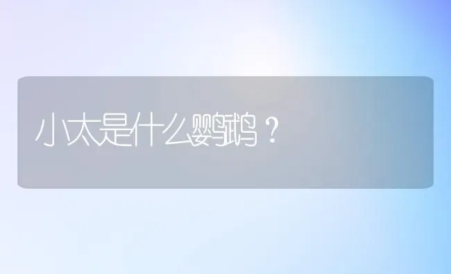 小狗肠胃炎不吃东西怎么办？ | 动物养殖问答