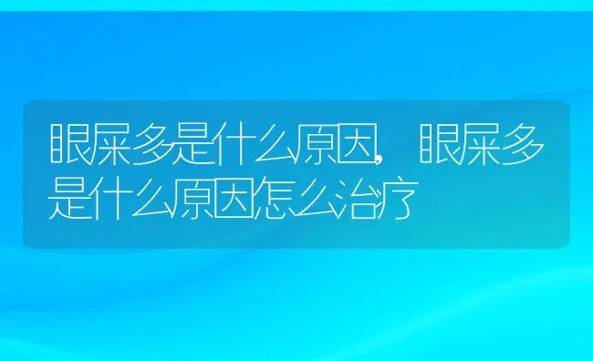 眼屎多是什么原因,眼屎多是什么原因怎么治疗 | 宠物百科知识