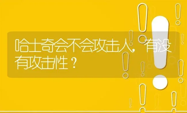 哈士奇会不会攻击人，有没有攻击性？ | 动物养殖问答